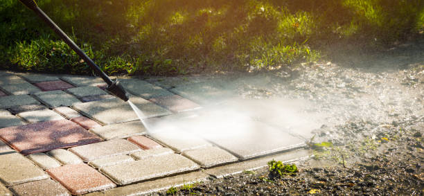 Animal Enclosure Cleaning in Sterling Ranch, CO