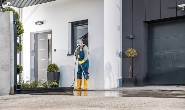 Best Paint Preparation  in Sterling Ranch, CO